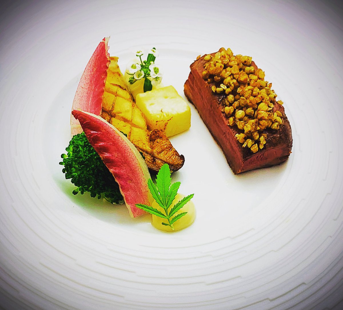 kboylechef's tweet photo. Anjou pigeon , Celeriac, Cèpe, Broccoli and Buckwheat #meatcourse #autumn #newseasonnewtaste #limogesporcelain @RestLadyAnne_ @MichelinGuideUK https://t.co/p4eFtpMJlD