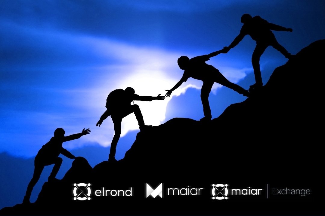 Jerson Aguiar ⚡🌱 (@aguiajerson) on Twitter photo <a href="/Yannmvita17/">GRAND MONSIEUR 🐺🏴☠️</a> <a href="/WesleyBKress/">Wesley Kress, MBA, MSOM 🟥</a> educating the @ElrondNetwork community about the long term is essential, today many regret selling $egld for $10, $20 or $60 dollars. I hope they don't regret it when they sell at 1k. <a href="/Yannmvita17/">GRAND MONSIEUR 🐺🏴☠️</a> <a href="/WesleyBKress/">Wesley Kress, MBA, MSOM 🟥</a> educating the @ElrondNetwork community about the long term is essential, today many regret selling $egld for $10, $20 or $60 dollars. I hope they don't regret it when they sell at 1k.