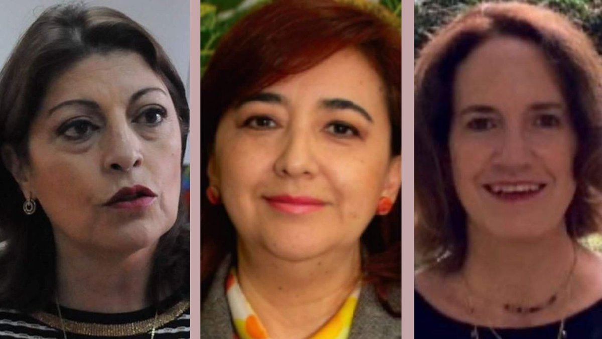 thaliafloresf's tweet photo. La #megaley de #Lasso y su Plan de Desarrollo; las reformas tributaria y la laboral, ¿a quiénes afectan?
Conservación vs extractivismo. ¿Cómo responderá la #AsambleaNacional?
Tres visiones:
@Wilmandrade @MonicaMancero @marialocorrea
Mañana en #Descifrando 8 am x @CentroEcuador https://t.co/FV854tLuxC