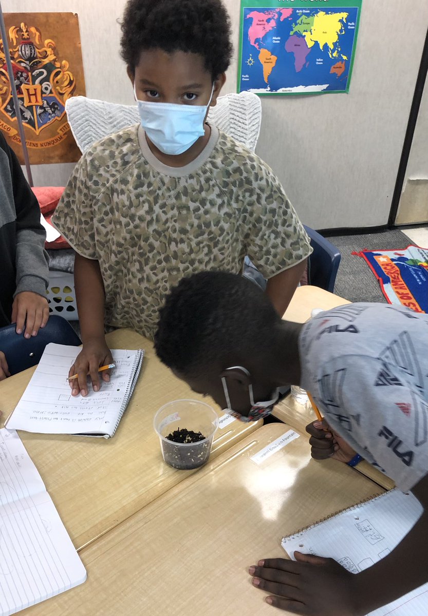 The best part of my day (which was pretty great, anyway) was watching our 5th grade scientists make and note observations of our sprouting (or not so sprouting) radish seeds. What does a plant need to grow and thrive? We’re finding out if our claims are correct! #Science rules!