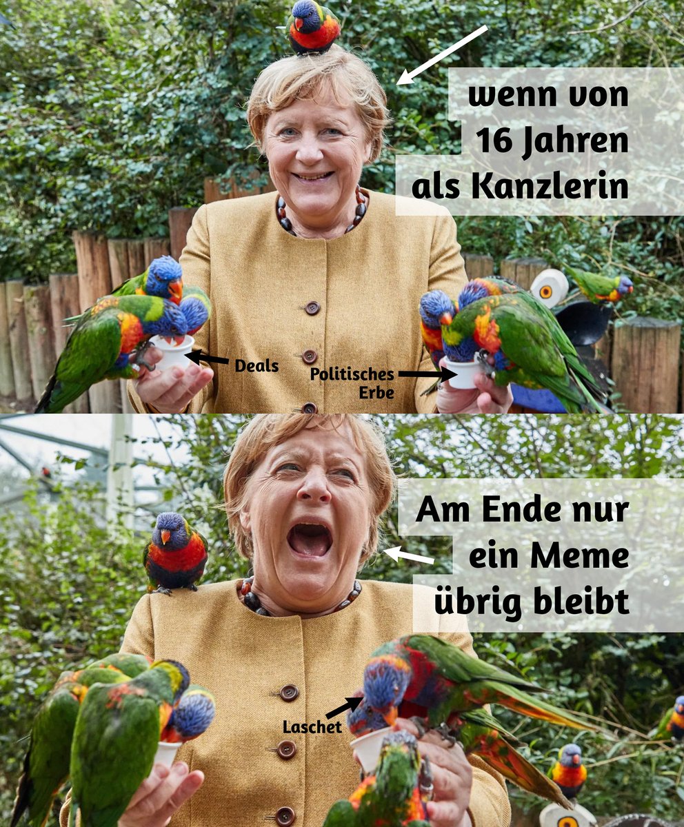 Meme von Angela Merkel mit Vögeln im Vogelpark: "Wenn von 16 Jahren als Kanzlerin … Am Ende nur ein Meme übrig bleibt". (Vögel sitzen auf Merkel, dann beißt einer zu und Merkel schreit auf. Dieser Vogel ist hier mit "Laschet" markiert.)