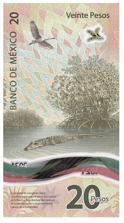 Quintana Roo presente en el nuevo #Billete20Pesos, con la belleza de la Reserva de la Biosfera de Sian Ka’an, patrimonio natural de la humanidad. #OrgulloQuintanarroense <a href="/Banxico/">Banco de México</a>