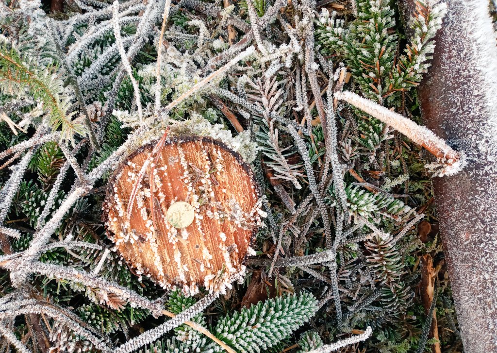 Save Kerry tweet media