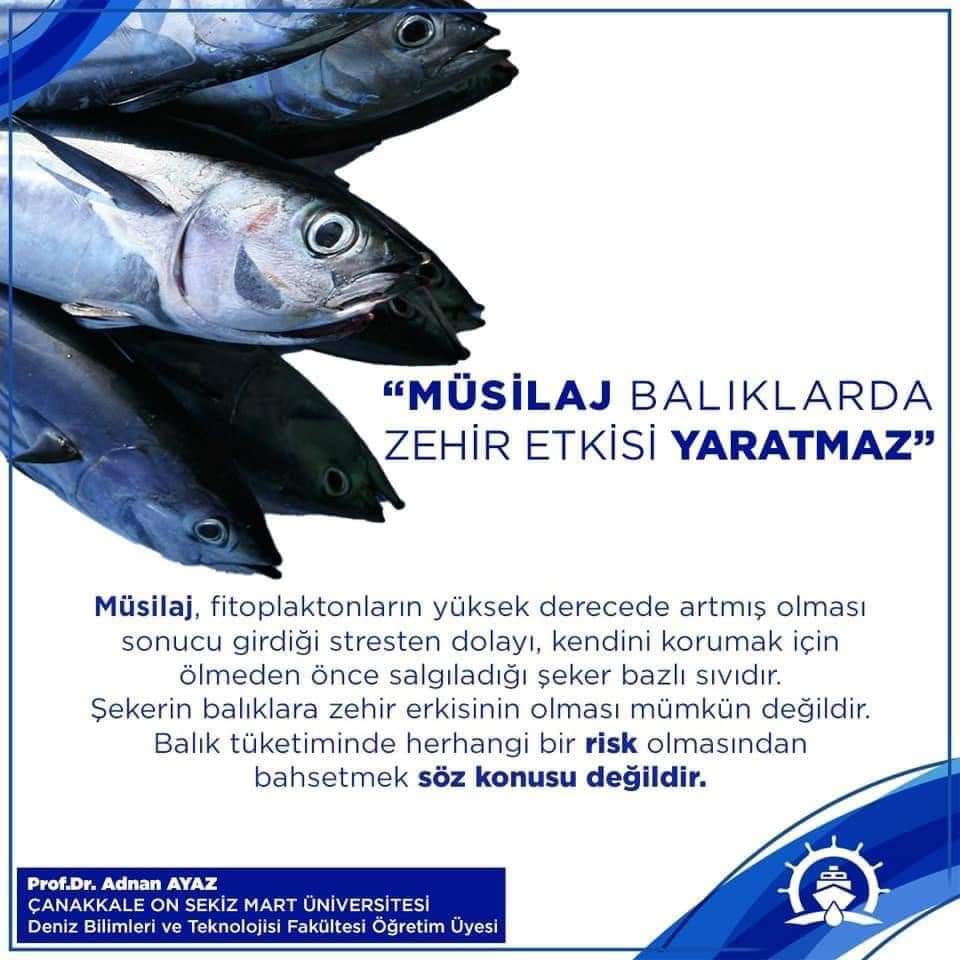 BALIK SAĞLIKDIR YENMEZ DİYEN PROFOSÖRLER BİLİNÇSİZ KONUŞUYOR. Herkes PAYLAŞSIN LUTFEN.