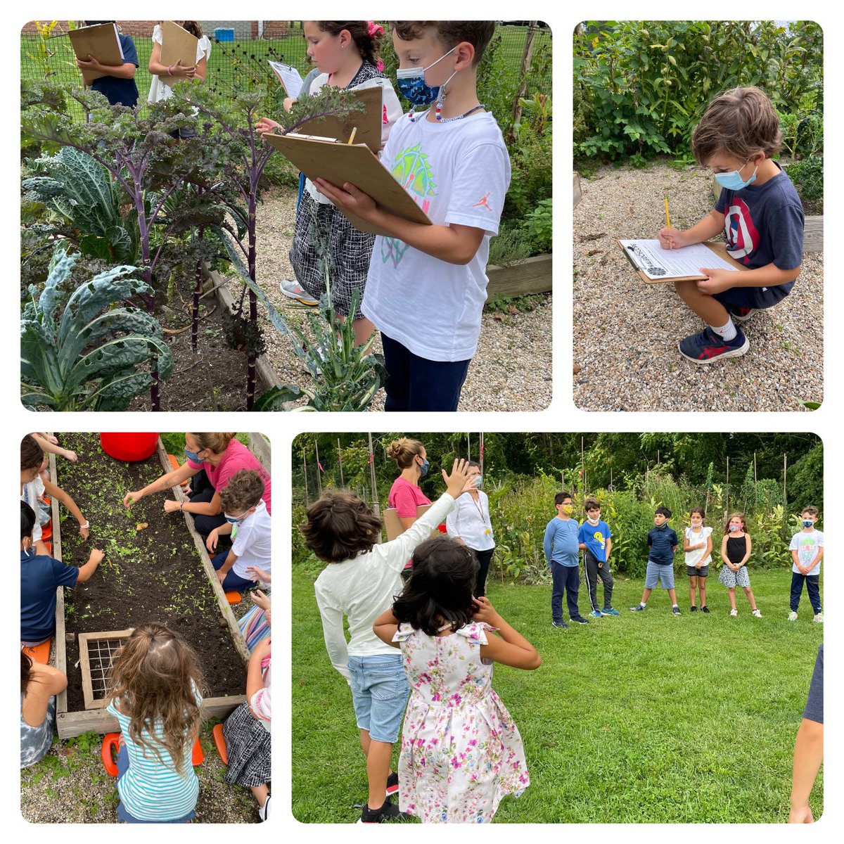 mvilcatweet's tweet photo. Thanks Ms. Alexandra for a great time planting, observing, and planting! ⁦@jencheung1⁩ #qrspride https://t.co/g1LymorHTR