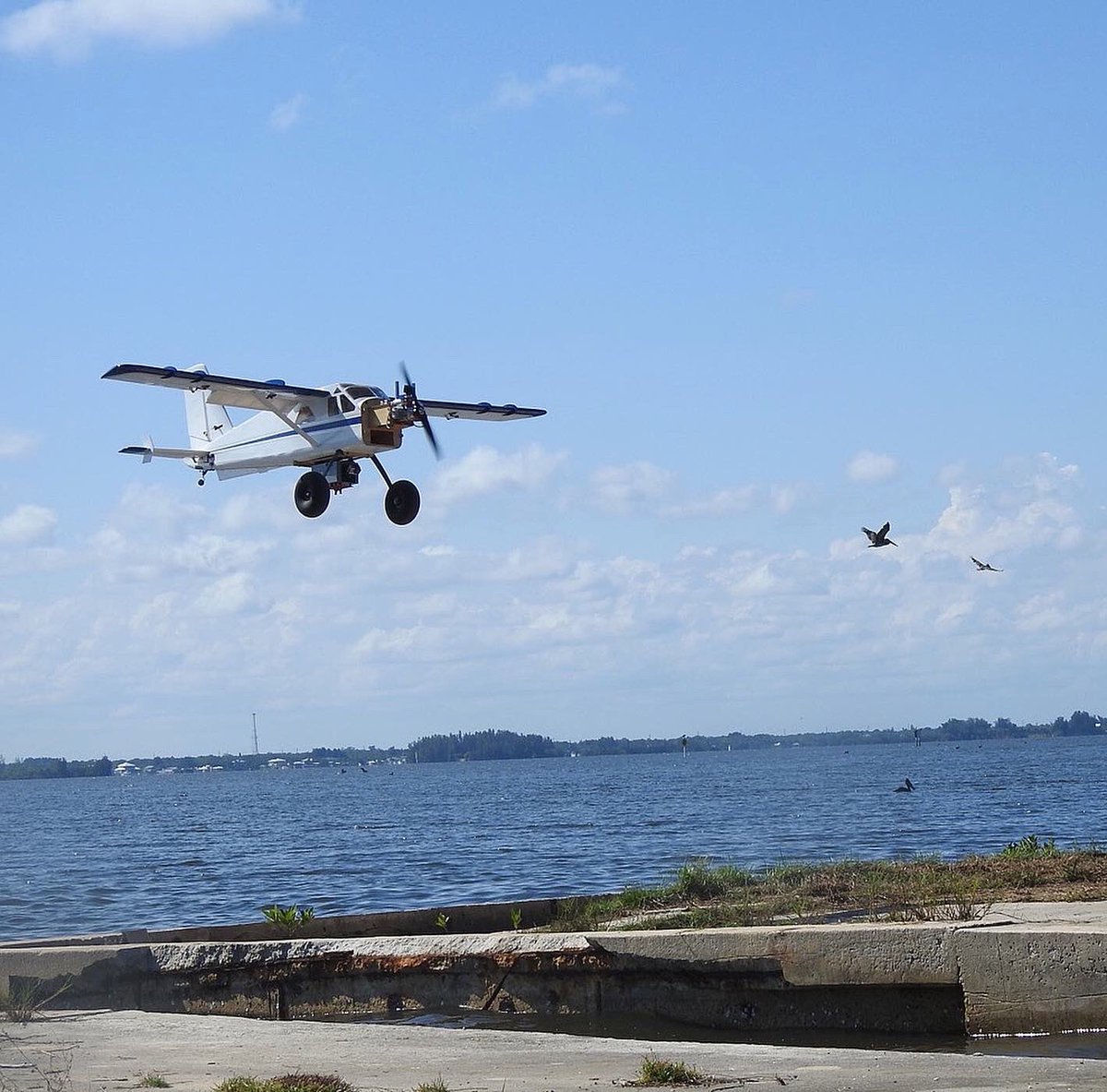 HubbsResearch's tweet photo. HSWRI land is being used as a flight strip for @brevardzoo’s #TurtleTech project, in #partnership with @northropgrumman. 🐢Today the crew came out with students from @EmbryRiddle to test a #drone based #surveillance effort used to #study the behavior of local #seaturtles. 🤩 https://t.co/Vzb3HjYr0O