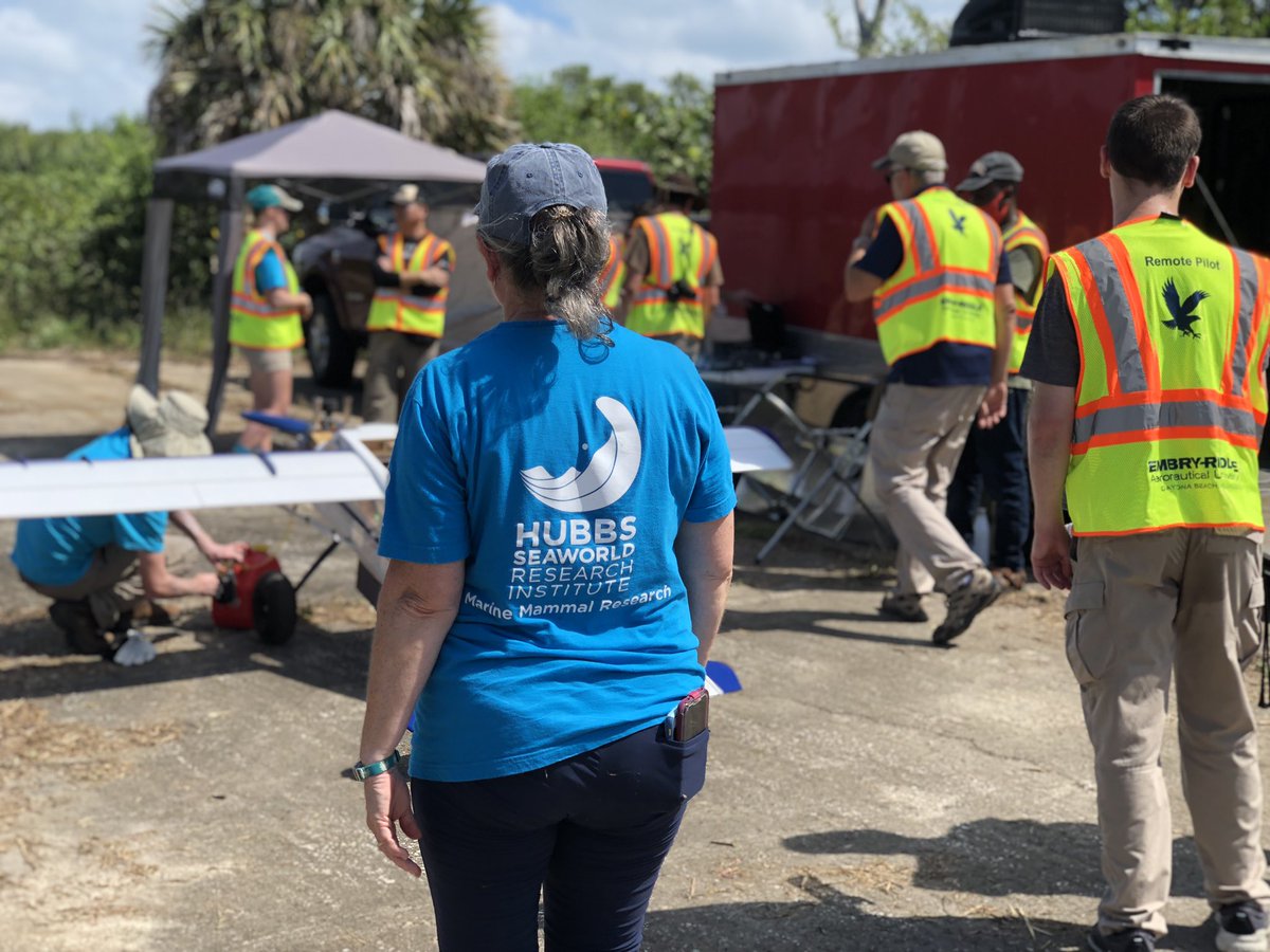 HubbsResearch's tweet photo. HSWRI land is being used as a flight strip for @brevardzoo’s #TurtleTech project, in #partnership with @northropgrumman. 🐢Today the crew came out with students from @EmbryRiddle to test a #drone based #surveillance effort used to #study the behavior of local #seaturtles. 🤩 https://t.co/Vzb3HjYr0O