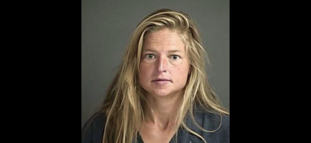 henrykleeKTVU's tweet photo. Alexandra Souverneva of Palo Alto, a Paly &amp; @Caltech science grad, self-described “shaman,” yoga teacher &amp; divemaster, charged w/arson for starting the Fawn Fire, per @ShastaCountyDA @CALFIRESHU. 5:35, 6, 7 p.m. @KTVU https://t.co/X9dY9BW1qt