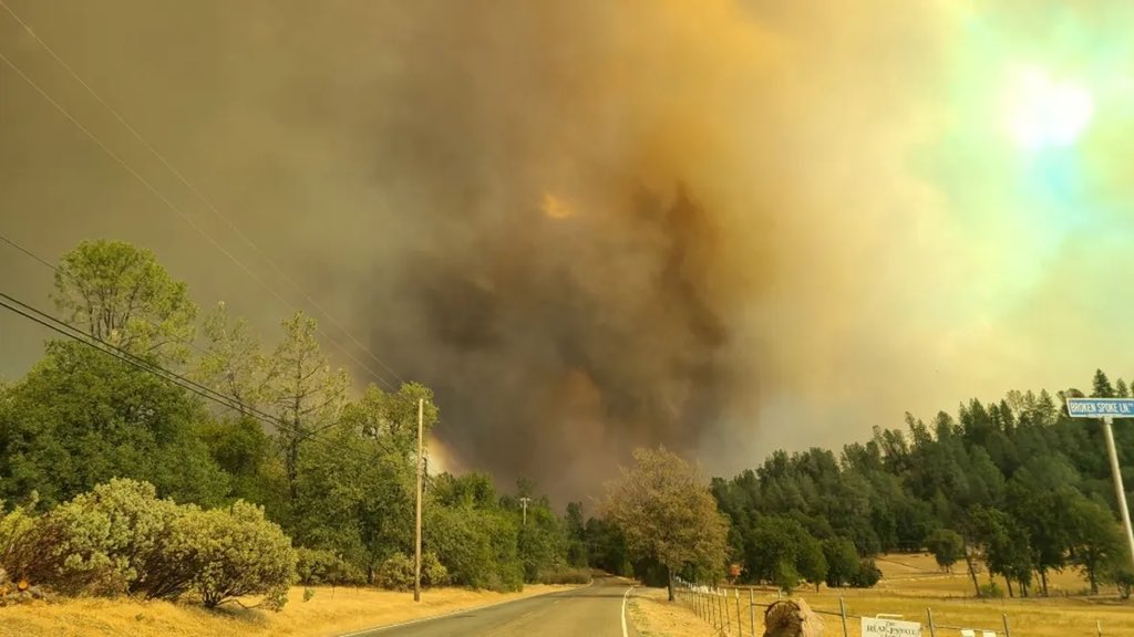 henrykleeKTVU's tweet photo. Alexandra Souverneva of Palo Alto, a Paly &amp; @Caltech science grad, self-described “shaman,” yoga teacher &amp; divemaster, charged w/arson for starting the Fawn Fire, per @ShastaCountyDA @CALFIRESHU. 5:35, 6, 7 p.m. @KTVU https://t.co/X9dY9BW1qt