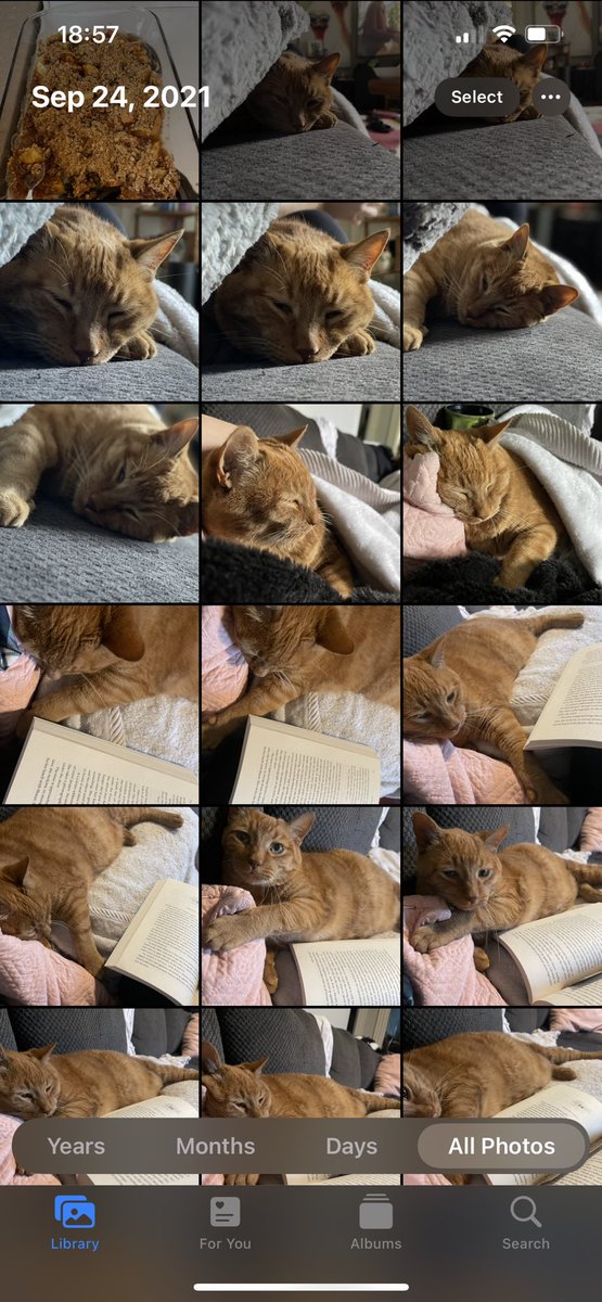 syddscott's tweet photo. Nope, not obsessed https://t.co/0OYKqZ96K9