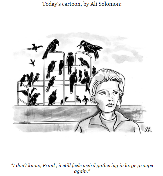drvan's tweet photo. A little #COVIDHumour for a Friday. #NewYorkerCartoon @NewYorker #AliSolomon #TheBirds #Hitchcock https://t.co/fWunLvLyPp