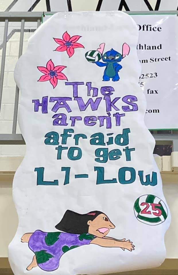 MHS_StudCouncil's tweet photo. Class of 2025 wins the VB banner contest! #hoco2021 https://t.co/8LgLhksIgq