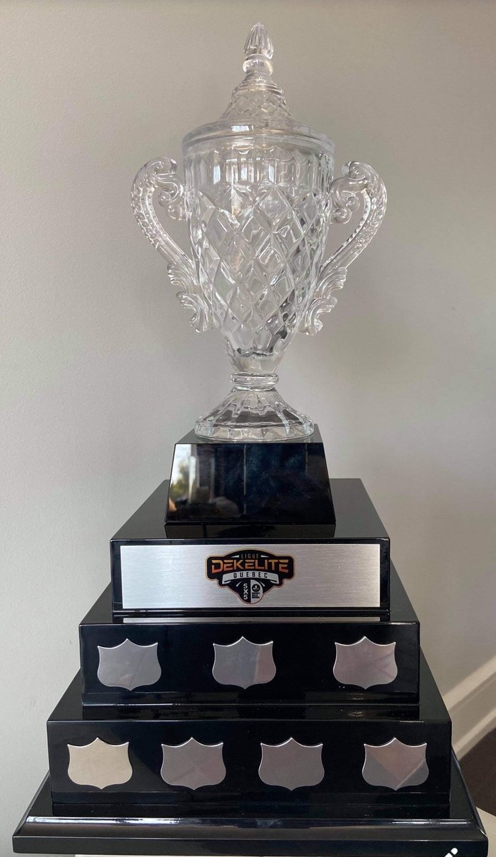 Hockey Balle Québec / Ball Hockey Quebec tweet media