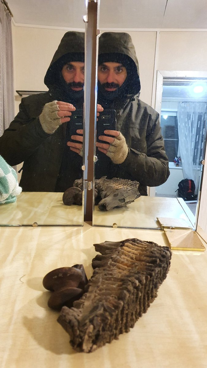 GuillaumeProts1's tweet photo. A part l'alerte à l'ours et l'accostage musclé dans la vase, les 8 heures de bateau sur le pont par -1 C pour aller admirer un des seuls endroits où le #permafrost est visible en valait la peine. Une dent de mammouth ramassée sur la plage en souvenir. #pleistocenepark https://t.co/UgpBBf3L7l