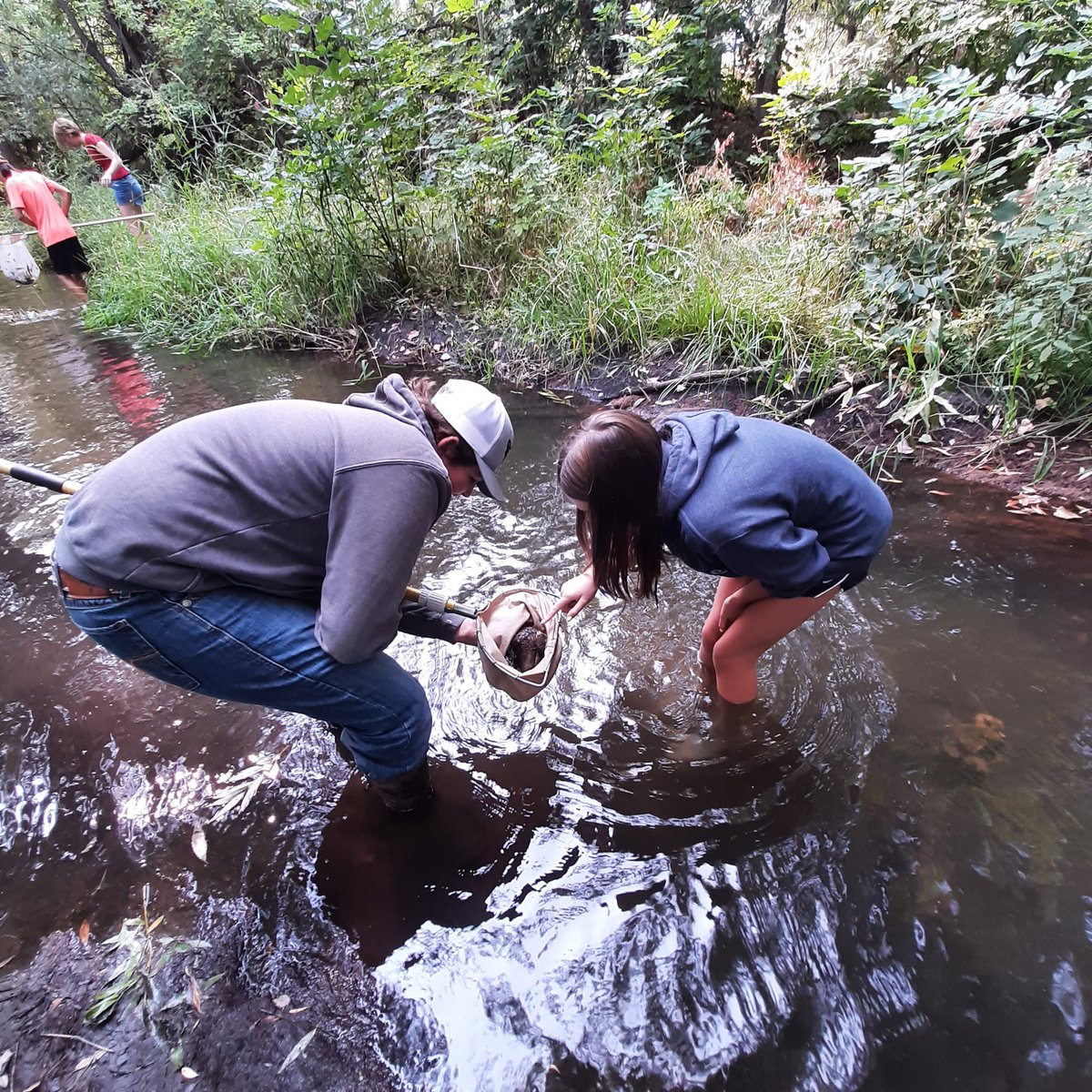 ClpmsScience's tweet photo. Cache La Poudre MS River Week 2021! We couldn't ask for better weather. It's great to be in school in person! @PoudreSchools @CLPAthletics https://t.co/XMsAjdMKuM