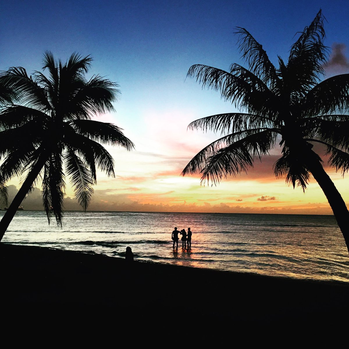 mymarianas_mva's tweet photo. #ヤシの木のある景色。#サイパン島 #マイクロビーチ の #サンセット です。毎日色鮮やかに空と雲を染め、まさに #自然のアート。ただ眺めているだけで幸せな気分にひたれます。#サンセット #マイクロビーチ #ヤシの木のある生活 #sunset #microbeach #南の島が好き #北マリアナ諸島 #南の島がすき https://t.co/mgkh5iZIZd