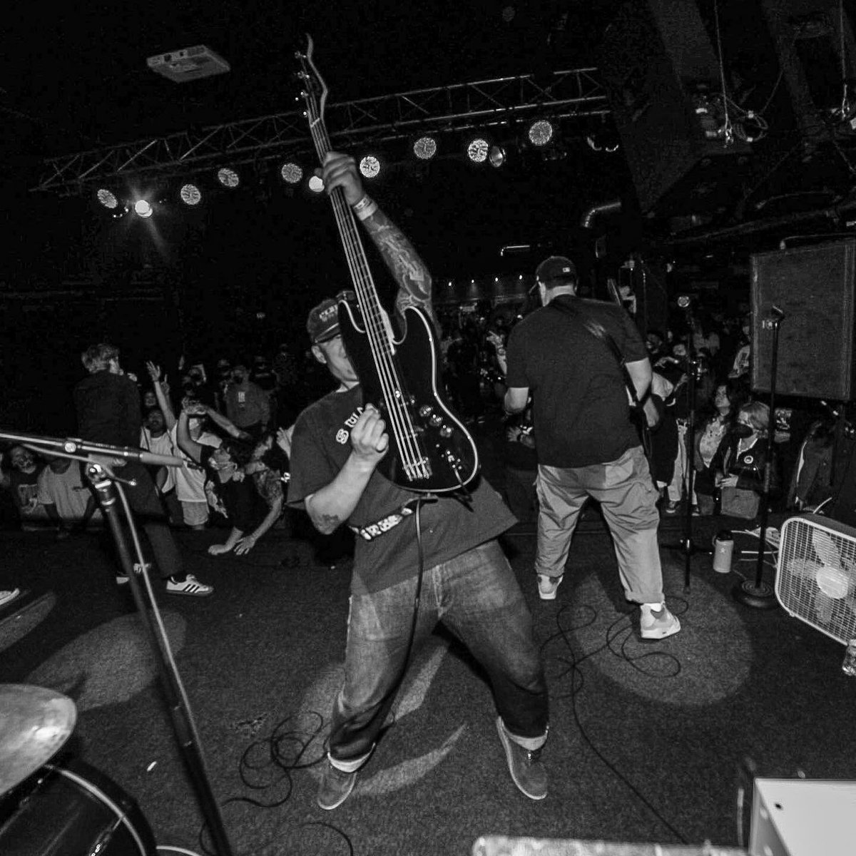 Lower Species | JAG Vol 2