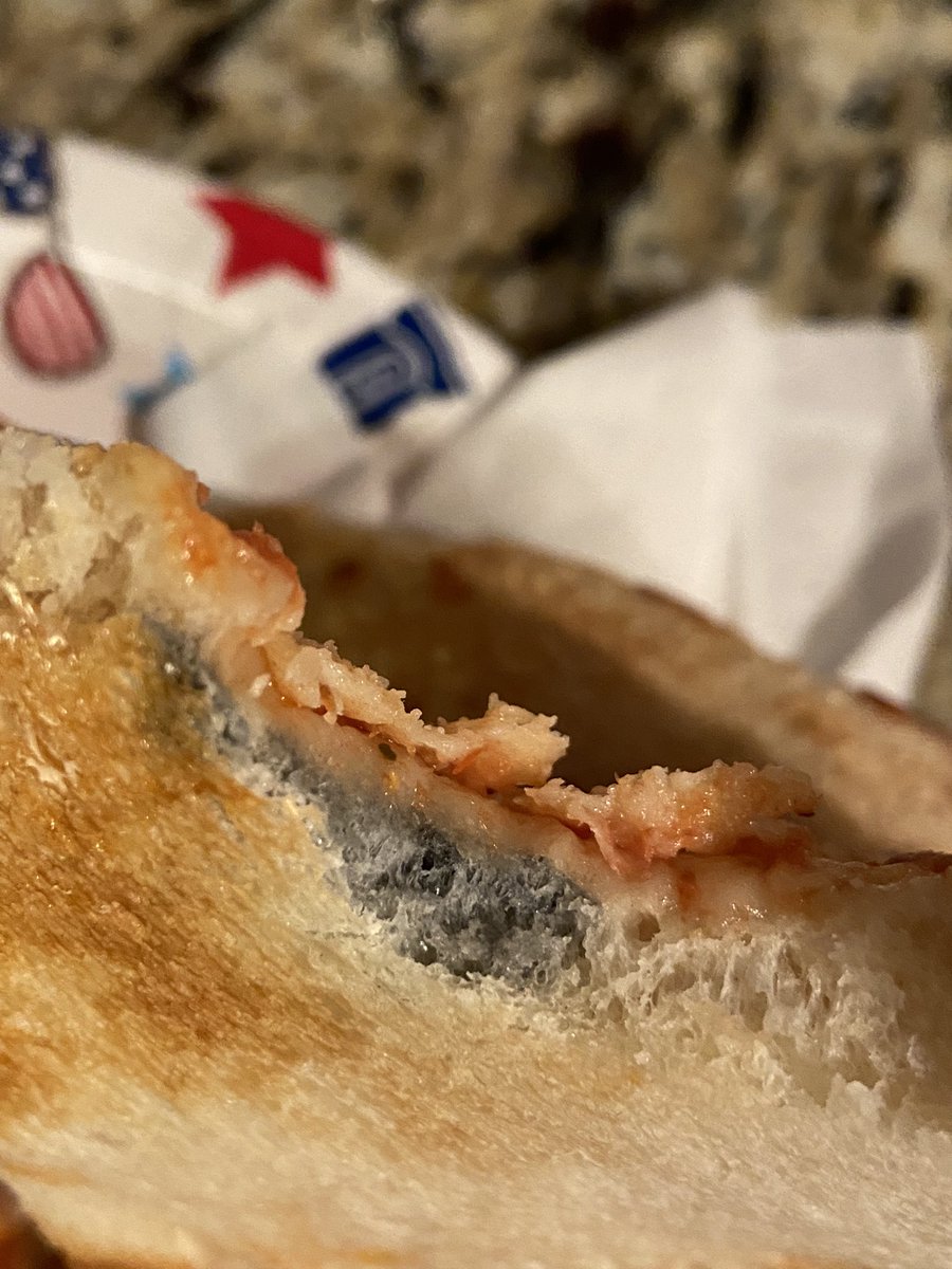 badsnowbear's tweet photo. Nothing like freaking MOLD in your #littlecaesar pizza. It’s everywhere and we already ate two pieces each. 😩 https://t.co/bjIWHEQ9Zi