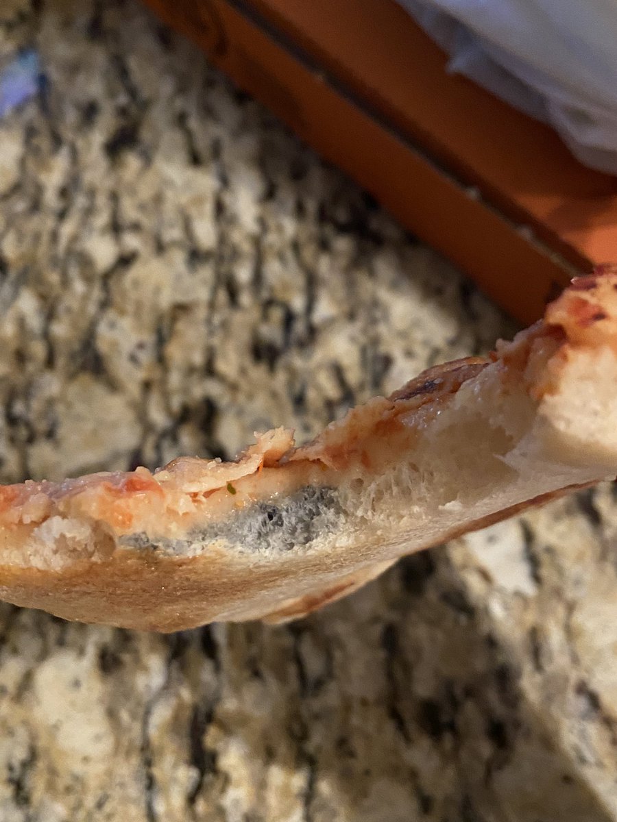 badsnowbear's tweet photo. Nothing like freaking MOLD in your #littlecaesar pizza. It’s everywhere and we already ate two pieces each. 😩 https://t.co/bjIWHEQ9Zi