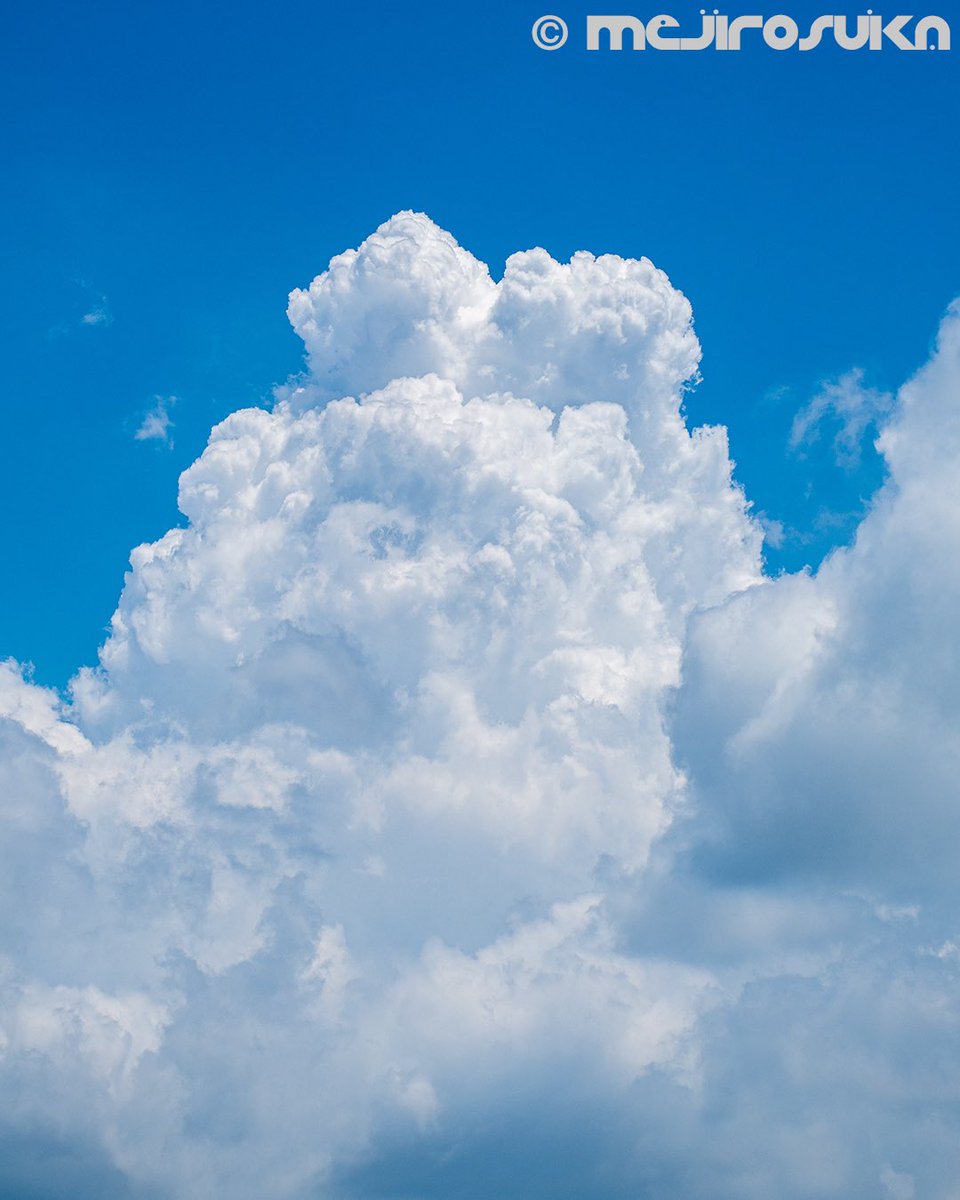 mejirosuika's tweet photo. 今更、夏の雲出してみる。

#雲　#青空 https://t.co/9Q5qY1baNH