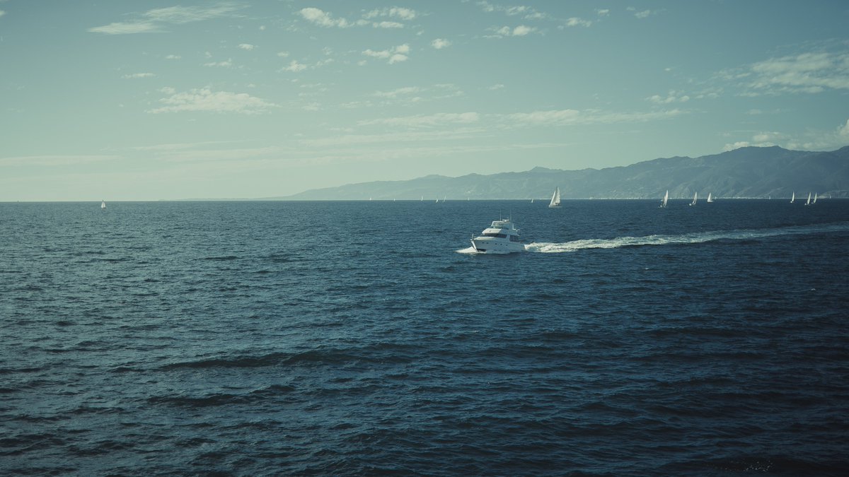 ajanicharles_'s tweet photo. Sail Out https://t.co/OIxCdOp2AG