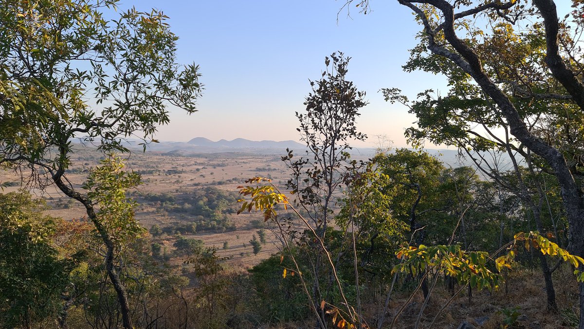 jamesblewett8's tweet photo. What is a green economy for a country like Zambia? What do Zambian green economic policies look like? Is a green economy compatible with economic development for Zambia?

Some thoughts: https://t.co/9x2ouSJkgX