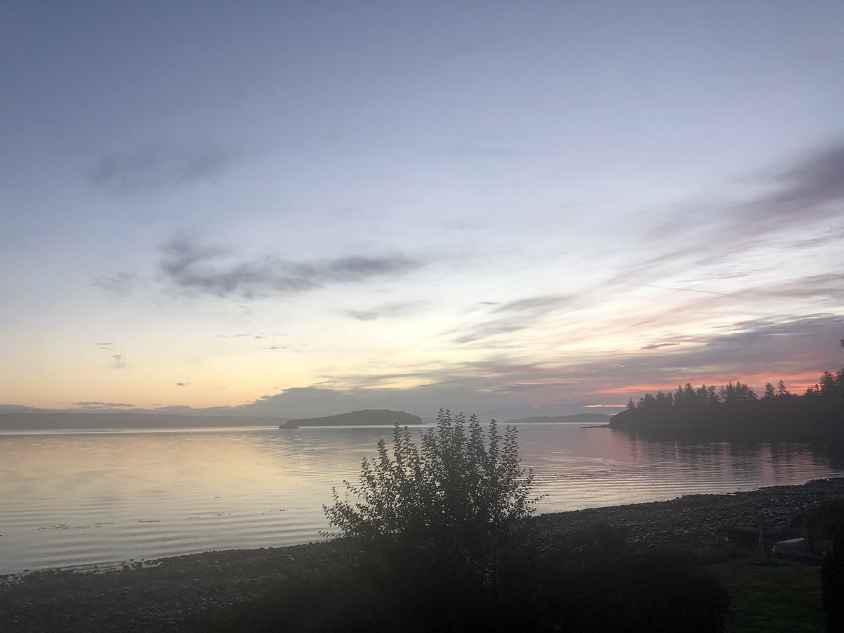 Jennifer_Grenz's tweet photo. An Elder told me after the election, “There are many paths to serve your why.” So… lands &amp; waters of the north island…. What will that be? #mywhy #salmon #indigenousinstem #ecology #IndigenousKnowledge #INDIGENOUS #vanisland #foodsecurity #healing #nothingaboutuswithoutus https://t.co/RfHhKQCWbT