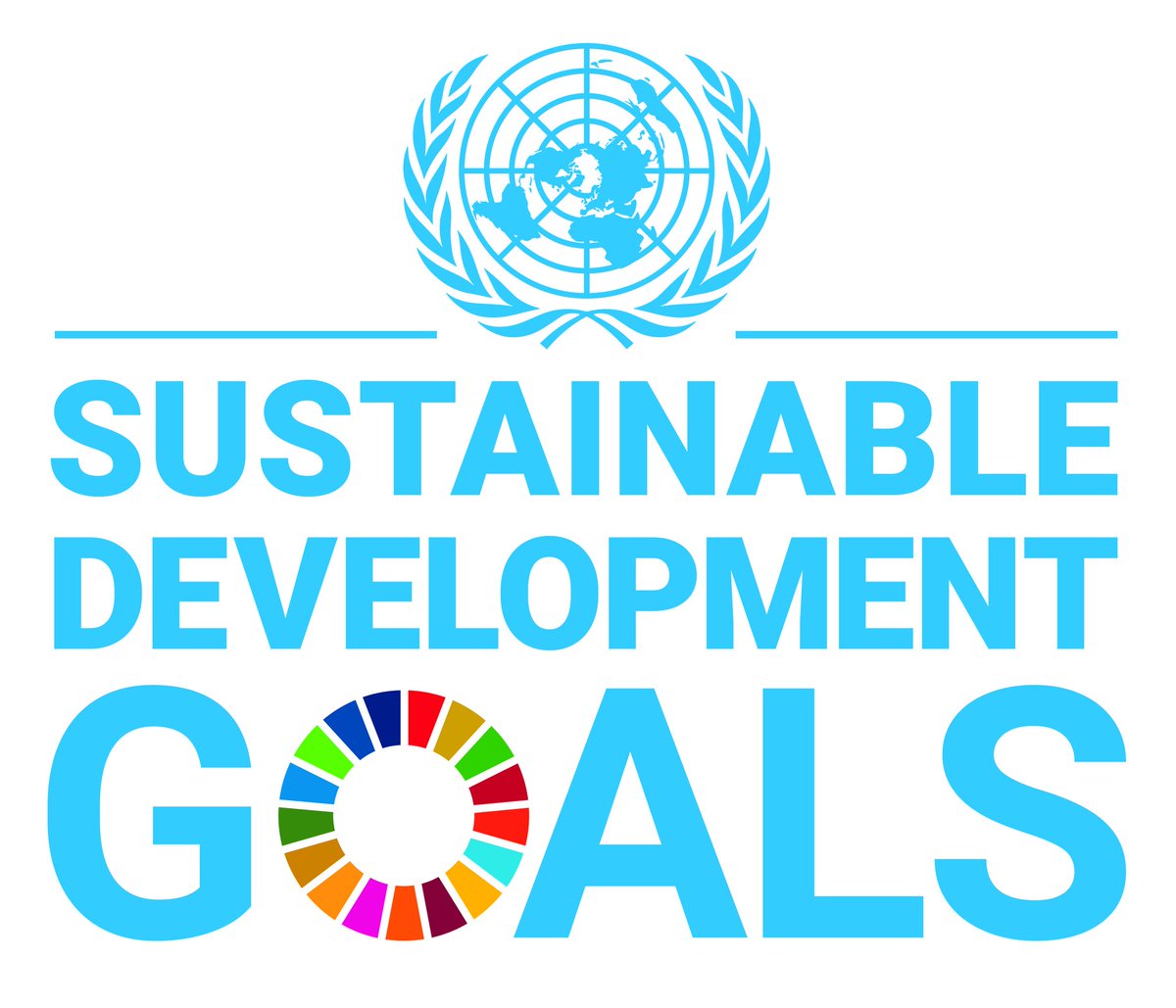 Happy birthday #SDGs !
