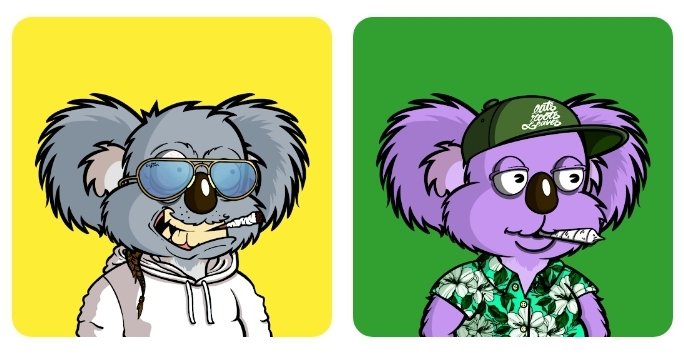 colosimo_s's tweet photo. Look @ these fuckin dudes @RhysKent93 sent me for winning poker tonight!! Don't sleep on the #DropBears #NFTCommunity #stoners #cryptostoners https://t.co/pbtkpVLgPn