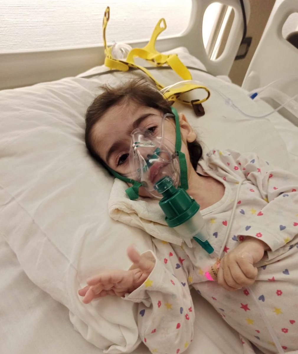 SON 17 GÜN❗

Didem'in ölmesine izin vermeyin ne olur. Belki de tek bir paylaşımla Didem'i ona nefes olabilecek kişilere ulaştırabilirsiniz. Lütfen desteğinizi esirgemeyin🙏

Kampanyamız yüzde 91'de, valilik iznimiz profilde <a href="/didem_smatip1/">Didem’in Nefesi Oldunuz…</a> 

#KırmızıOda #ArkaSokaklar