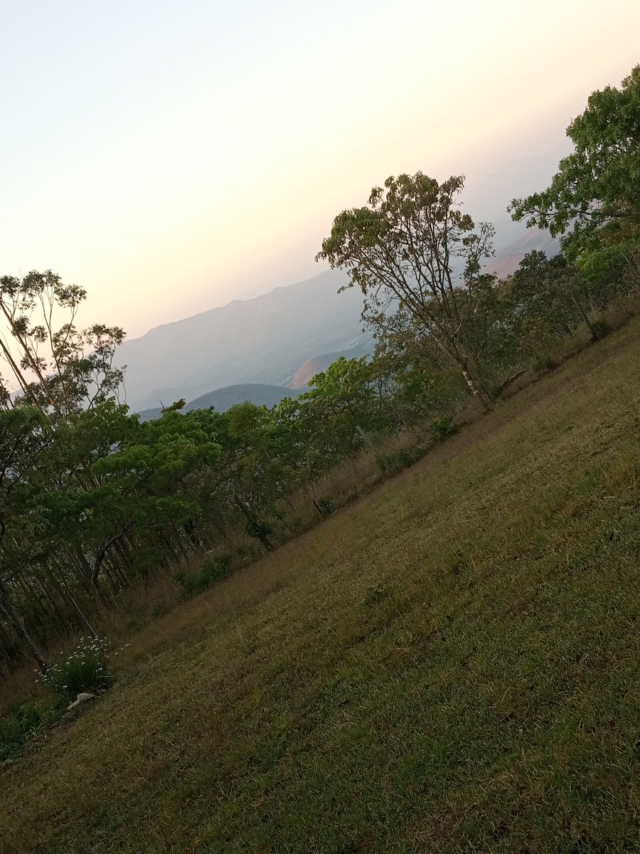 Ruemaun's tweet photo. Vumba...Good morning world https://t.co/odLWVxWN01