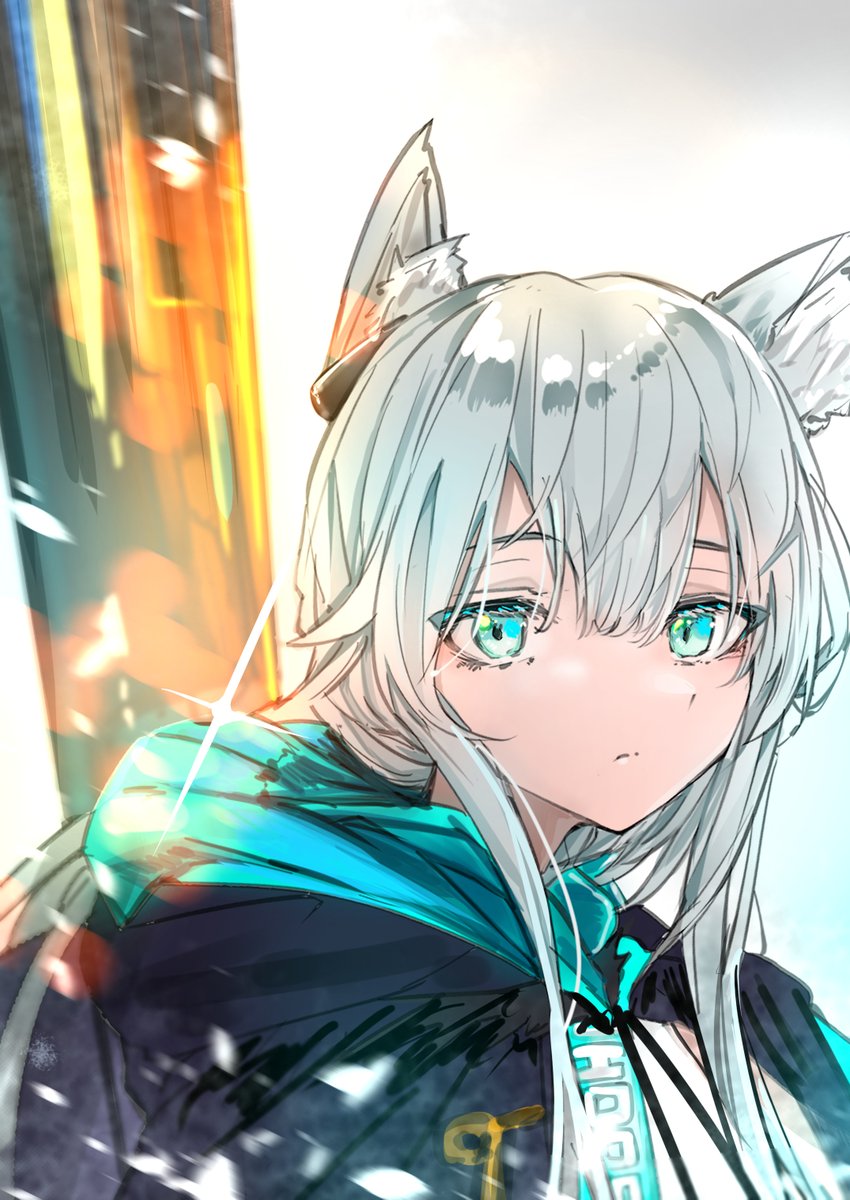 rosmontis (arknights) 1girl solo animal ears cat ears long hair looking at viewer hood down  illustration images