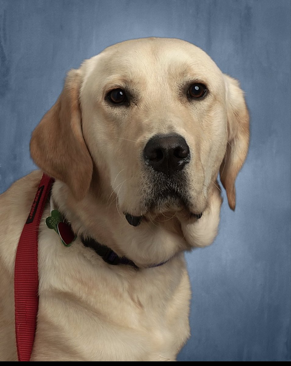 Checkout my official yearbook portrait - I am a poser.  <a href="/circletail/">Circle Tail, Inc.</a> @MjhToddwells <a href="/Milford_Schools/">Milford Schools</a>