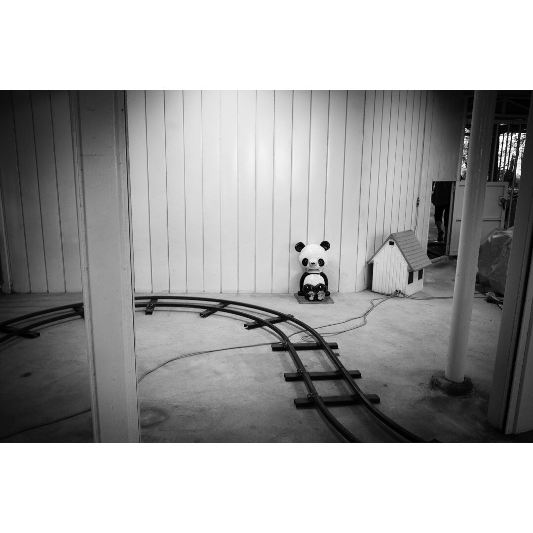 boogie_0505's tweet photo. #photography #monochrome #blackandwhite https://t.co/LiOLGtfiOW