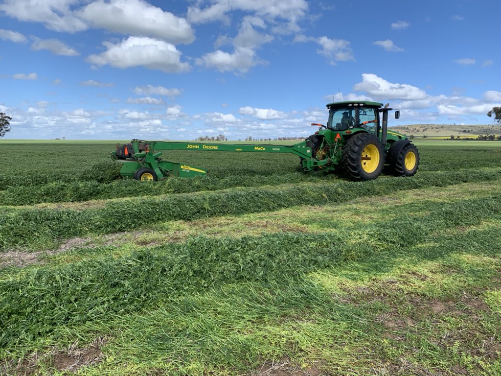 Peter Sexton tweet media