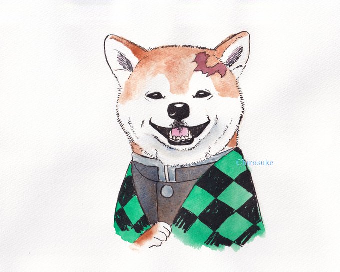 「shiba inu simple background」 illustration images(Latest)｜21pages