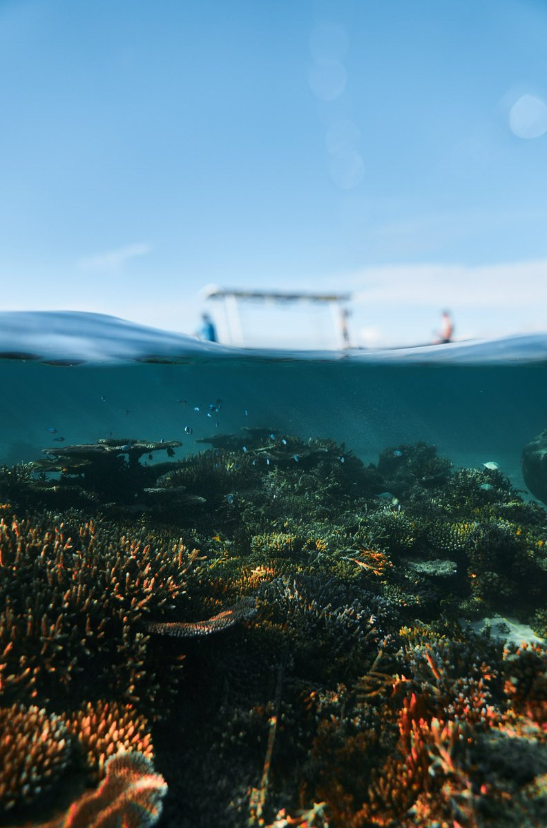 Robert King tweet media