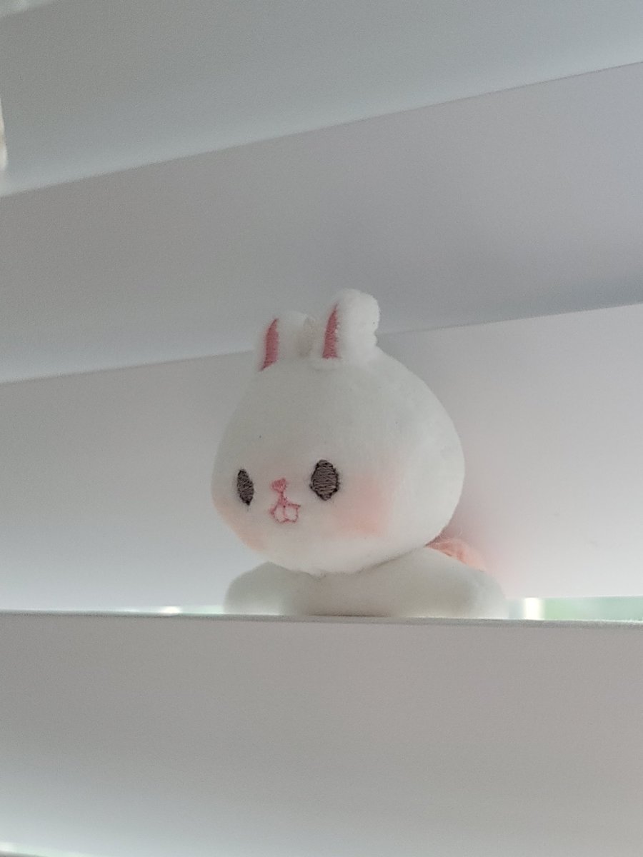 miniminizamzam1's tweet photo. 어제 잠시 방문하고 온 
임마네 솜박물관🤭🤭

임트리버 넘 보고싶었는데 실물이 더 귀여워서(feat.청순미) 행복했어요❗❗

#임트리버 https://t.co/4cOvU3fZX4