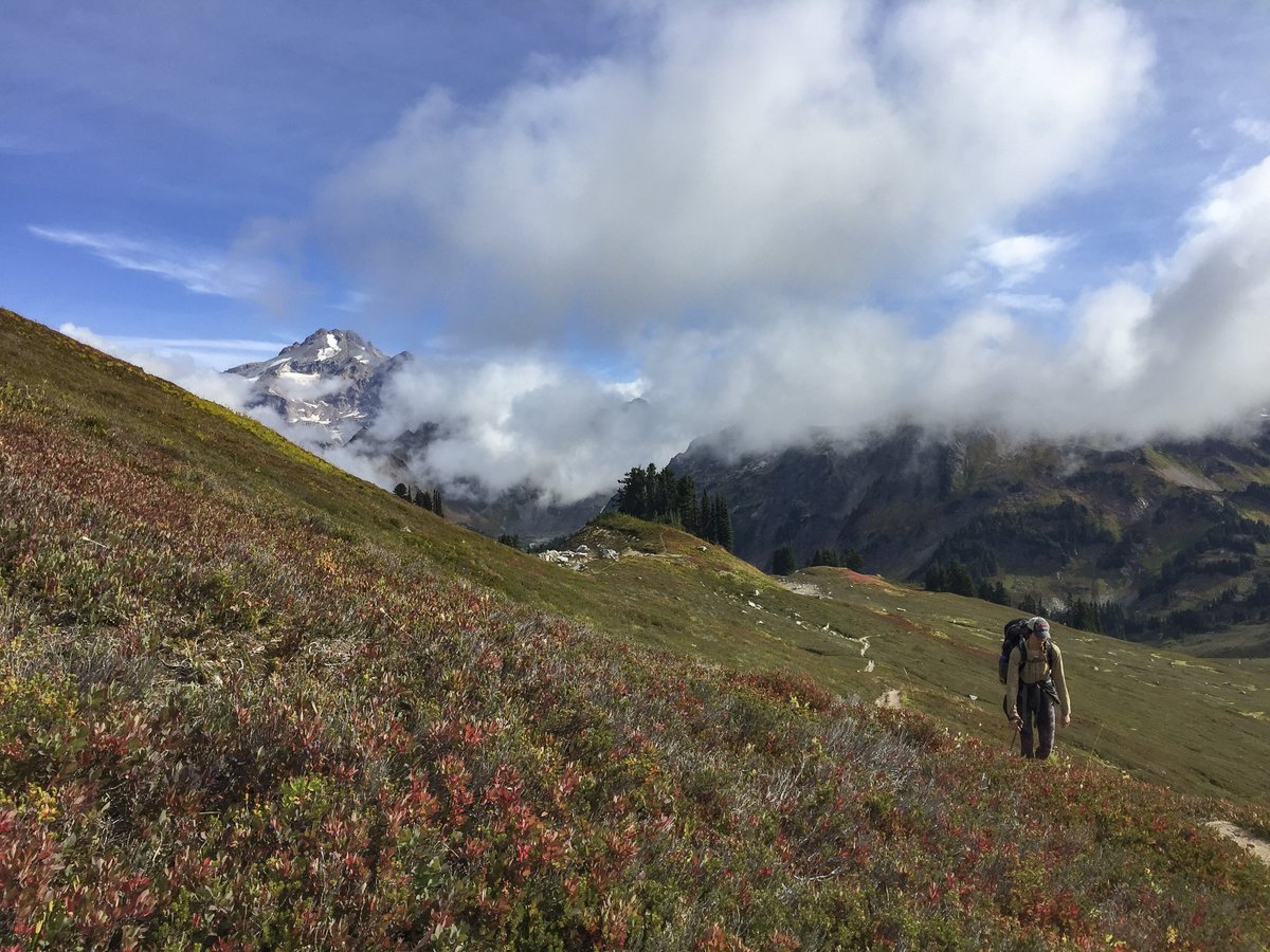 USGSVolcanoes's tweet photo. Cascade volcanoes at background levels of activity this week: https://t.co/2as9wSC1Y7. #CVO #geologist heads home after fieldwork at #GlacierPeak. #DYK Glacier Peak &amp; #MountStHelens are the only volcanoes in WA that have generated large explosive eruptions in the past 15,000 yrs? https://t.co/UO4W7JrG0r