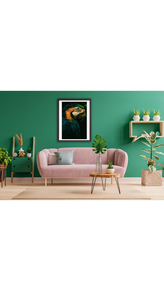 gidcam's tweet photo. Una casa sin arte es una casa triste.
Decora tu espacio con nuestros cuadros
#cuadrosdecorativos #tiendadearte #Arte https://t.co/PgHMClM5Du