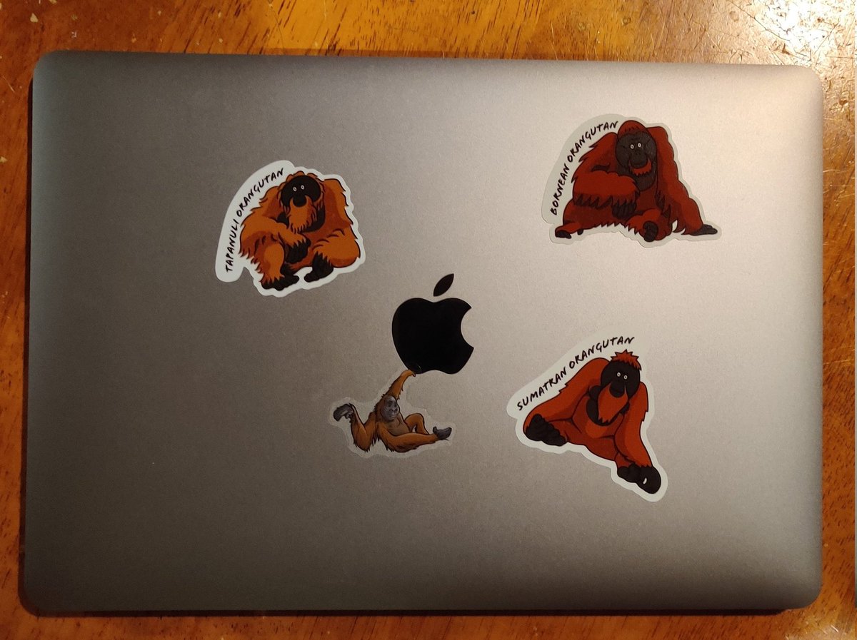 Timo Berg tweet media