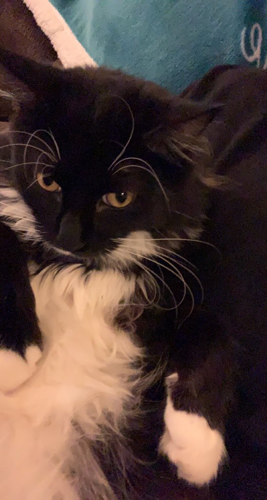 TypodTheGod's tweet image. tucker