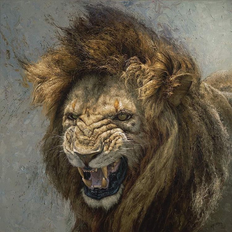 Go ahead, let your jaw drop... this is amazing. Look at the texture of the fur!  
'Dominion' - 48'x48' - Lion - oil on linen by @gregbeechamart 

#beautifulbizarre #gregbeecham #expeditionart #wyomingartist #wildlifeart #fineart  #oilonlinen #oilpainting #wildlife #lion