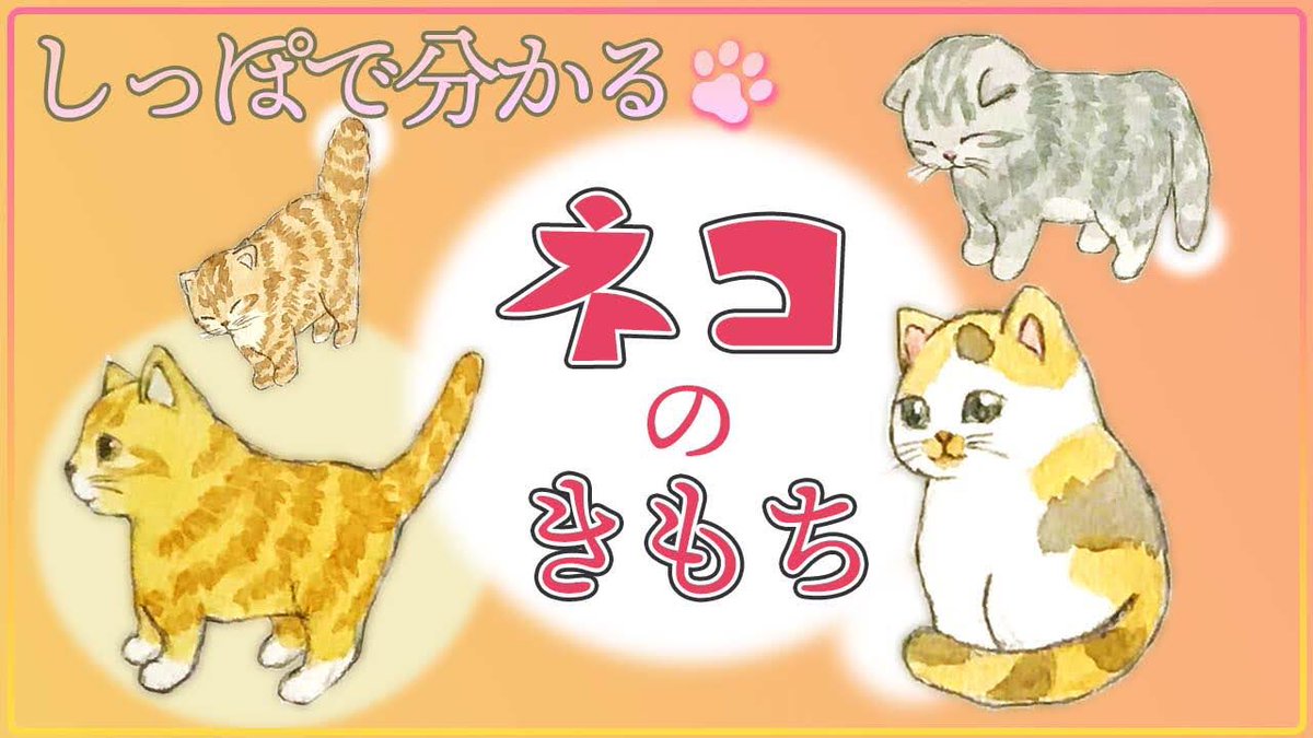 やまだ さちこ 初心者歓迎 可愛いネコの描き方 誰でも簡単に猫イラストが描ける講座 今回は 尻尾 に注目します 尻尾は猫の感情を表すといいます 喜怒哀楽 4種類の尻尾をご紹介します ぜひご覧ください T Co Yyqndcmnob やまだ さちこ 初心者歓迎 可愛いネコの描き方 誰でも簡単に猫イラストが描ける講座 今回は 尻尾 に注目します 尻尾は猫の感情を表すといいます 喜怒哀楽 4種類の尻尾をご紹介します ぜひご覧ください T Co Yyqndcmnob
