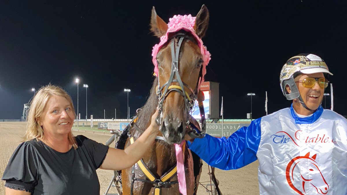 Club Menangle tweet media