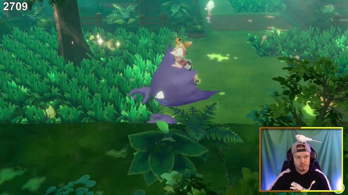 ShinyHaunterSJ's tweet image. I got my revenge on the forest after only 2713! shiny #6 is a shiny Pidgey! ✨

#LetsGoWeek2021 #ShinyPokemon #PokemonLetsGo