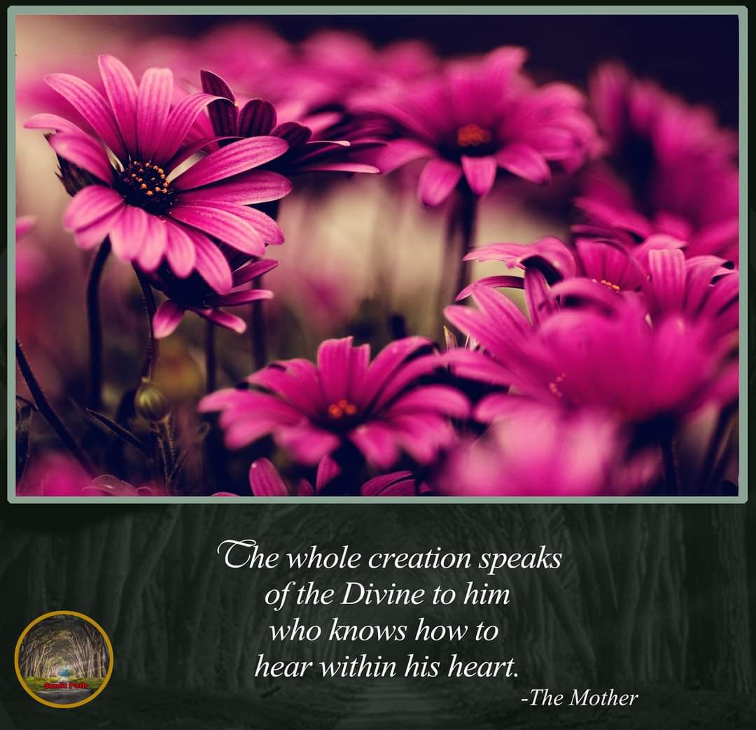 PathSunlit's tweet photo. Quote of the Day 
#qoutes #goodmorning #qouteoftheday  #dailymotivation #SriAurobindo #TheMother #sunlitpath https://t.co/qKxENksaTT