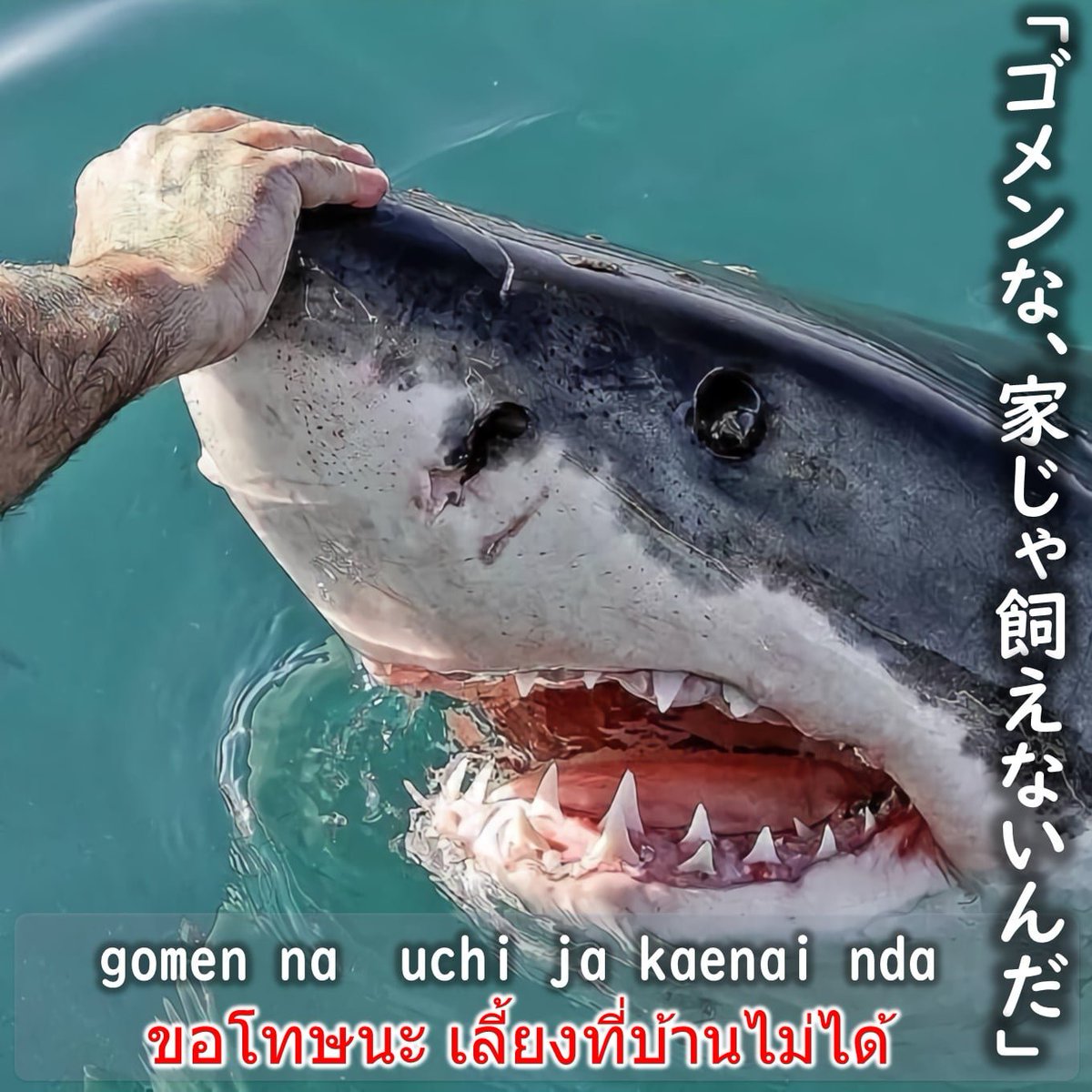 หน้าน้องแบบไม่รับเลาไปเลี้ยงจริงๆเหรอมนุด