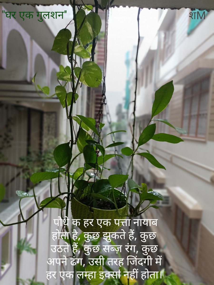 sherlockmasroor's tweet photo. #SherlockMasroor
#EngineerShayar
#InstantSher
#GharEkGulshan https://t.co/4s0FmCKhjf