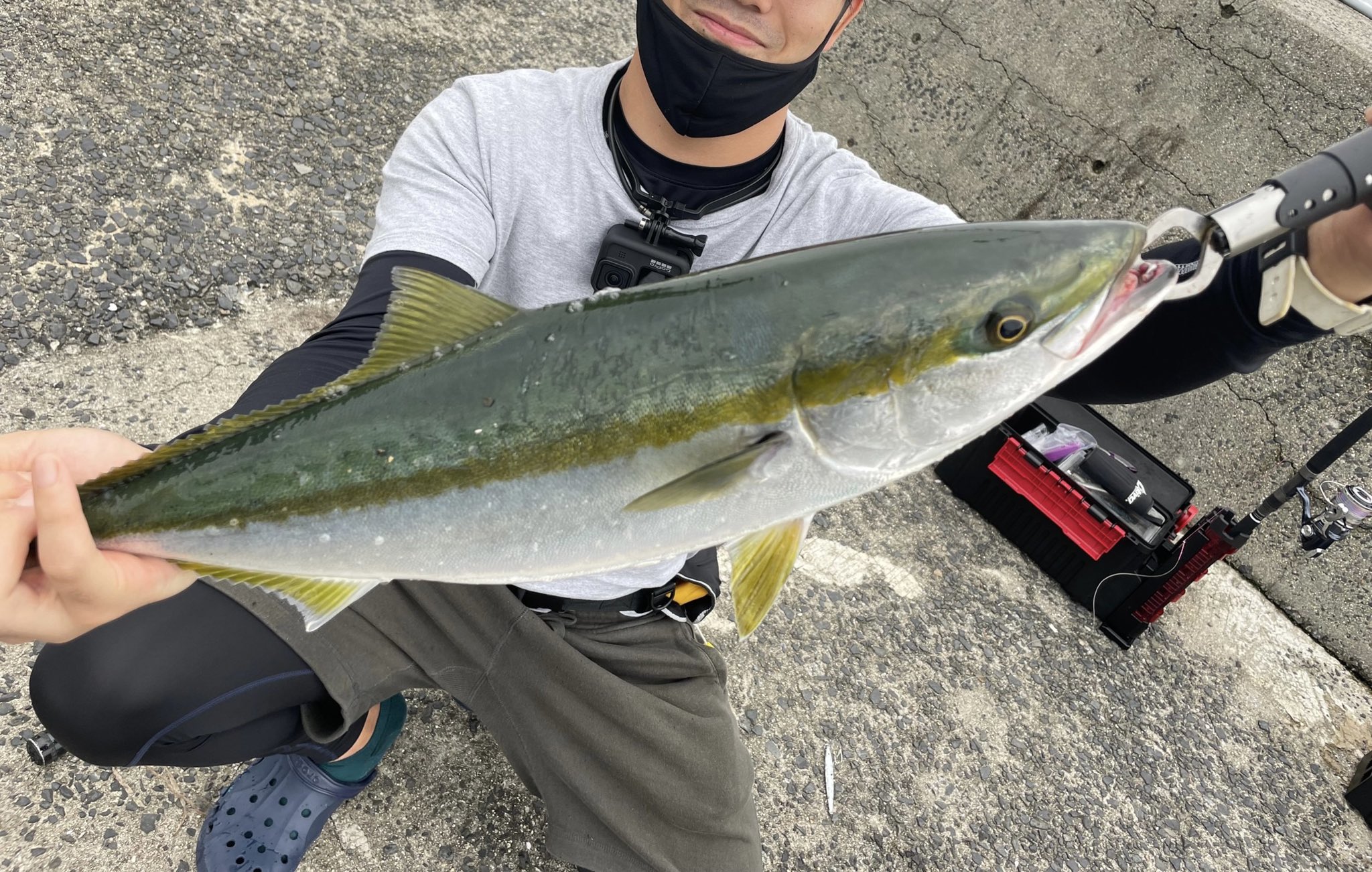 この海の片隅に 更新しました 実は今日も仕事なんだぜ W ショアジギング ふらっと思いつきで行ったときの方が釣れるんかもしれない T Co N6dnhd5wrc 広島 釣り ショアジギ T Co Pq9axxip5r Twitter